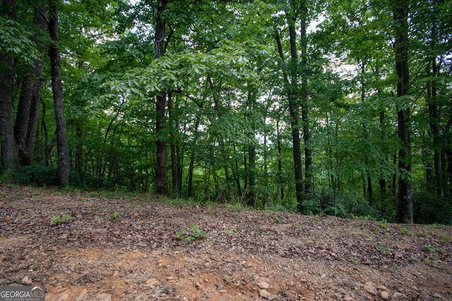 850 Bluff Road, Marble, NC 28905
