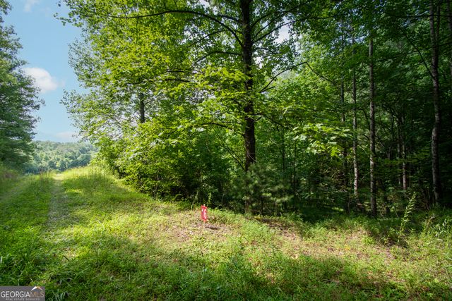 850 Bluff Road, Marble, NC 28905