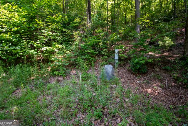 850 Bluff Road, Marble, NC 28905