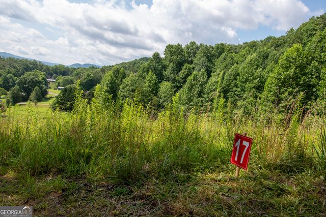 850 Bluff Road, Marble, NC 28905