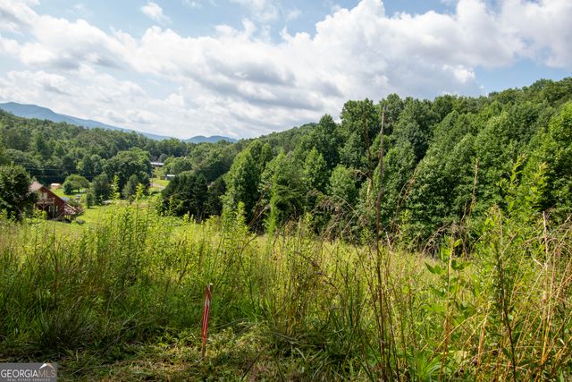 850 Bluff Road, Marble, NC 28905