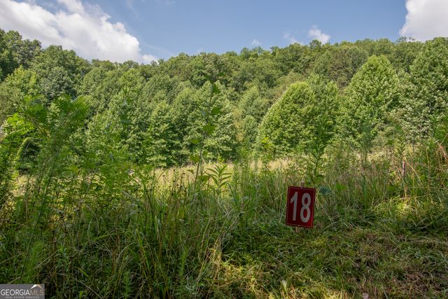 850 Bluff Road, Marble, NC 28905