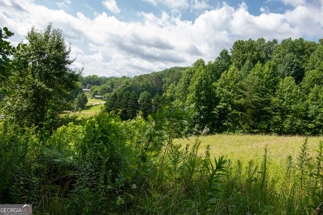 850 Bluff Road, Marble, NC 28905