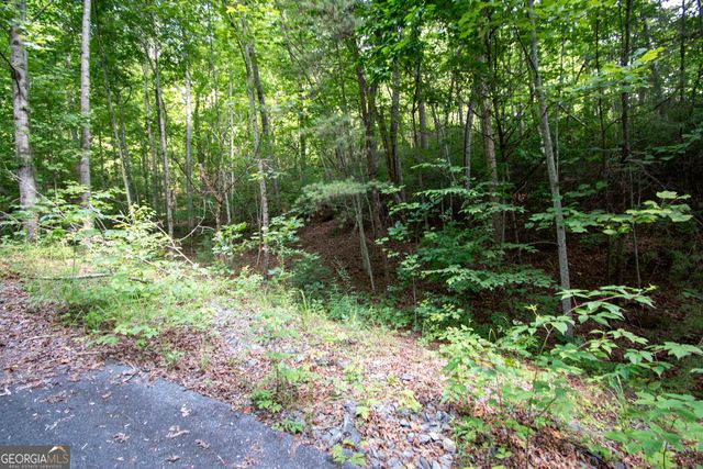 850 Bluff Road, Marble, NC 28905