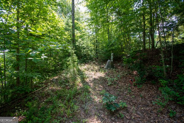850 Bluff Road, Marble, NC 28905