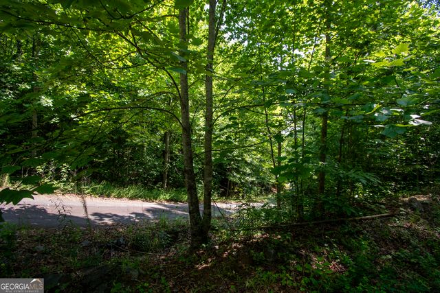 850 Bluff Road, Marble, NC 28905