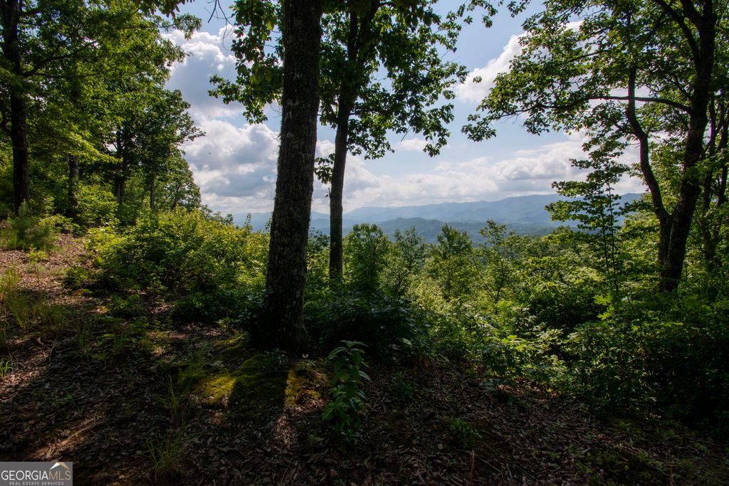 850 Bluff Road, Marble, NC 28905