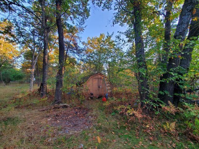 3487 Perry Holt Road, West Branch Twp, MI 48661