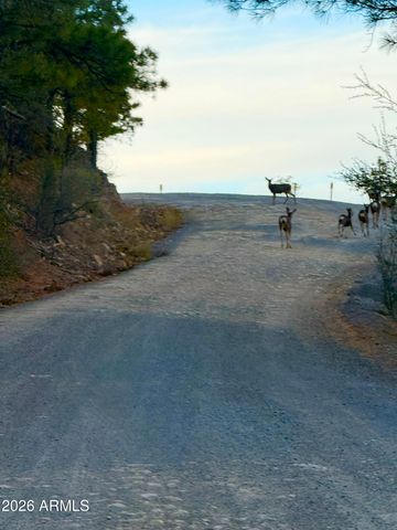 5050 E Herrin Hollow Lane, Prescott, AZ 86303