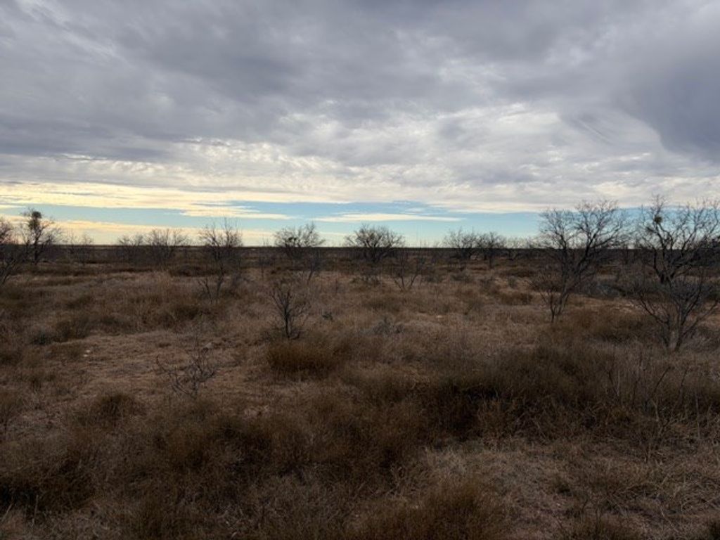 Image 11 of property listing at 00 S Hwy 277, Eldorado, TX 76936