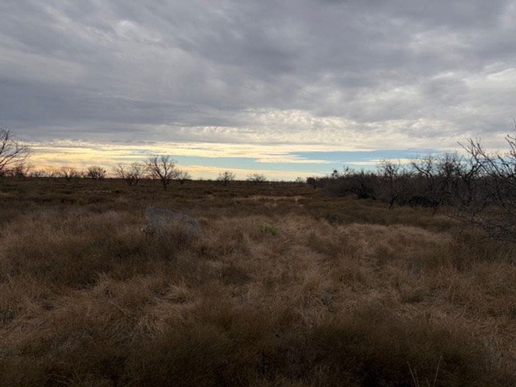 Image 12 of property listing at 00 S Hwy 277, Eldorado, TX 76936