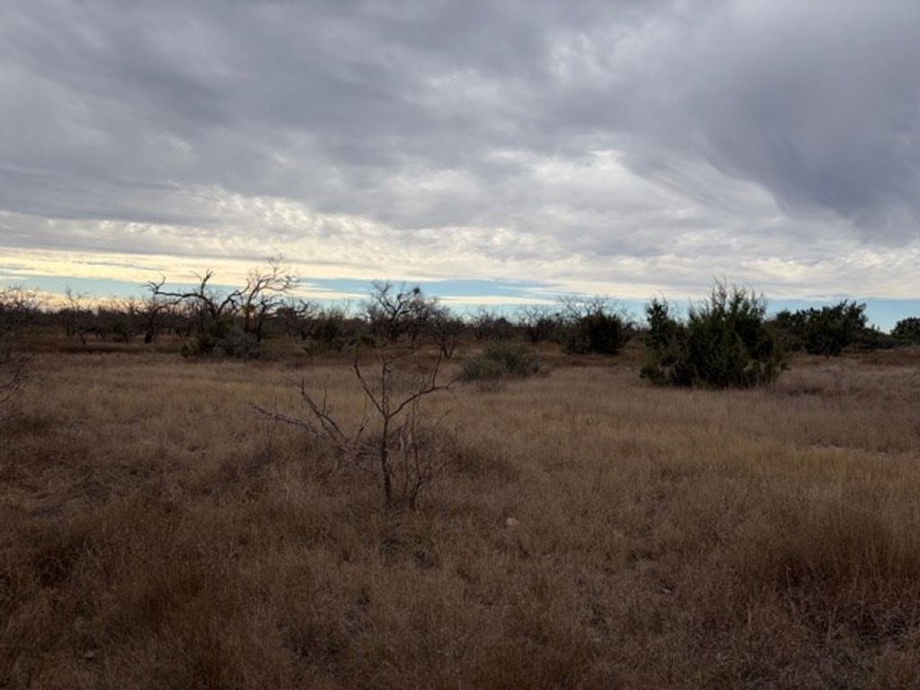 Image 13 of property listing at 00 S Hwy 277, Eldorado, TX 76936