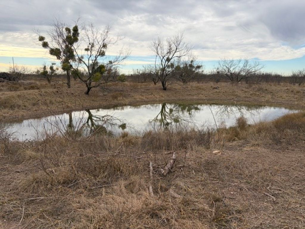 Image 3 of property listing at 00 S Hwy 277, Eldorado, TX 76936