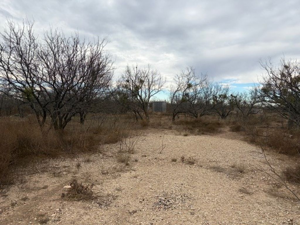 Image 4 of property listing at 00 S Hwy 277, Eldorado, TX 76936