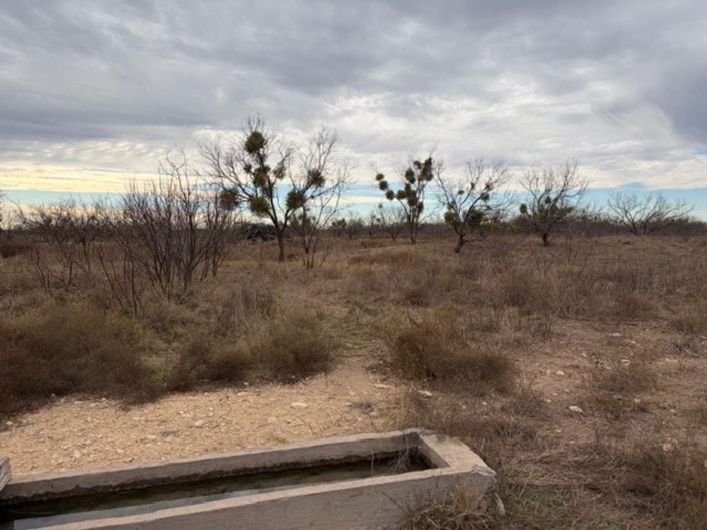 Image 9 of property listing at 00 S Hwy 277, Eldorado, TX 76936