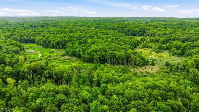 10803 Kile Road, Chardon, OH 44024
