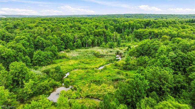 10803 Kile Road, Chardon, OH 44024