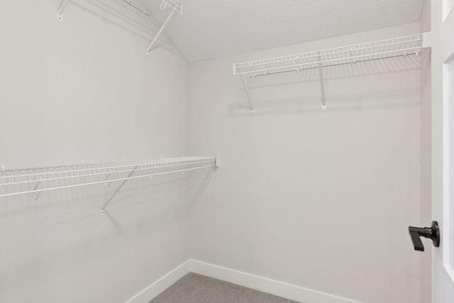 7254 61st Street S, Cottage Grove, MN 55016