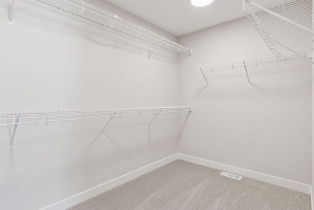 7254 61st Street S, Cottage Grove, MN 55016