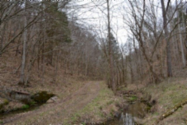 290 Hazel Huffines Ln, Whitleyville, TN 38588