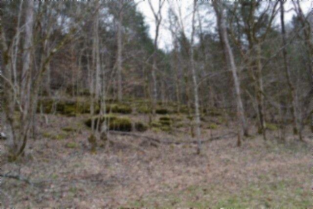 290 Hazel Huffines Ln, Whitleyville, TN 38588