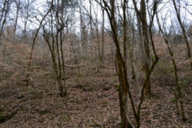 290 Hazel Huffines Ln, Whitleyville, TN 38588