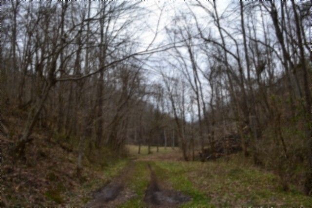 290 Hazel Huffines Ln, Whitleyville, TN 38588