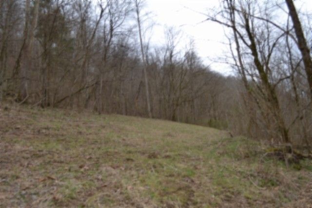 290 Hazel Huffines Ln, Whitleyville, TN 38588