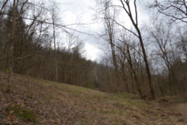 290 Hazel Huffines Ln, Whitleyville, TN 38588