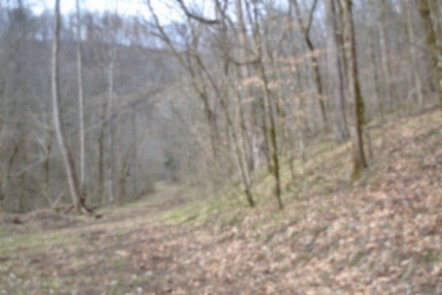 290 Hazel Huffines Ln, Whitleyville, TN 38588