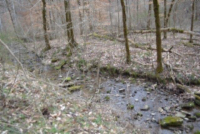 290 Hazel Huffines Ln, Whitleyville, TN 38588