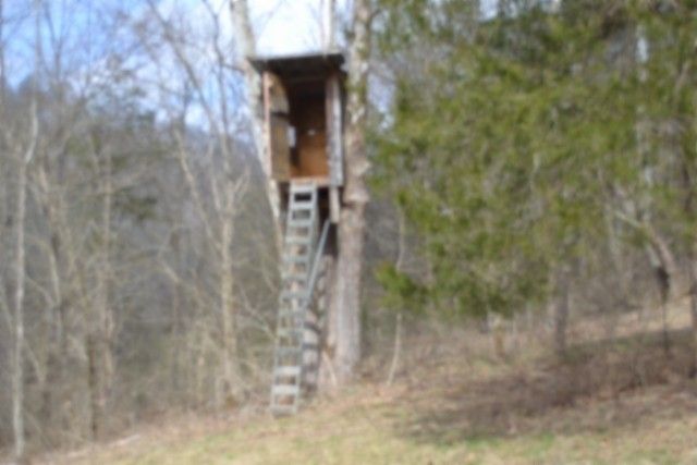 290 Hazel Huffines Ln, Whitleyville, TN 38588