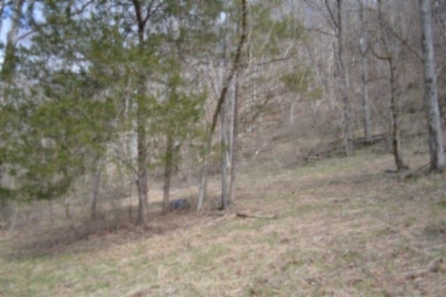 290 Hazel Huffines Ln, Whitleyville, TN 38588