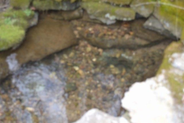 290 Hazel Huffines Ln, Whitleyville, TN 38588