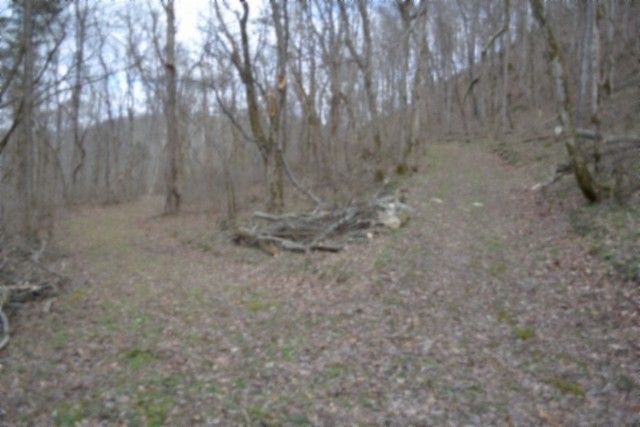 290 Hazel Huffines Ln, Whitleyville, TN 38588