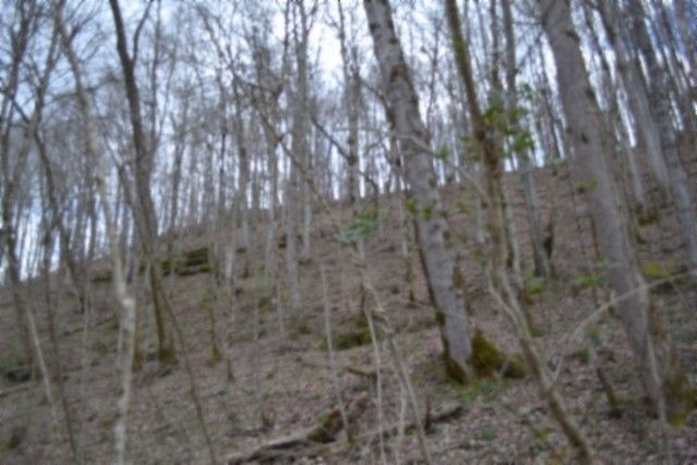 290 Hazel Huffines Ln, Whitleyville, TN 38588