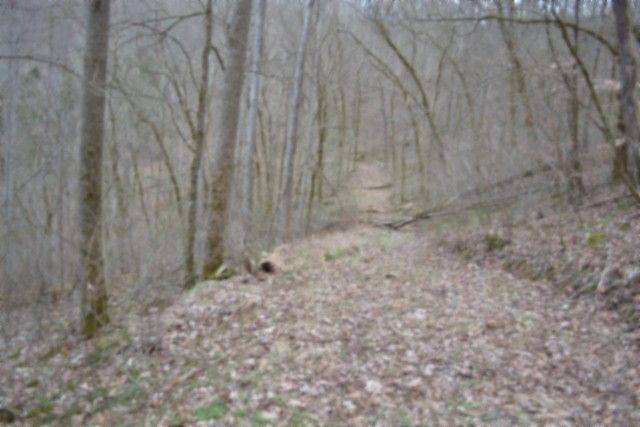 290 Hazel Huffines Ln, Whitleyville, TN 38588