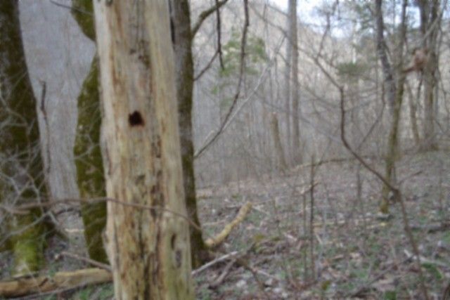 290 Hazel Huffines Ln, Whitleyville, TN 38588