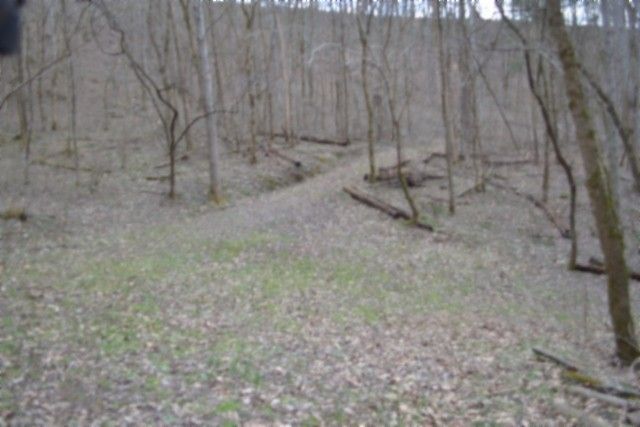 290 Hazel Huffines Ln, Whitleyville, TN 38588