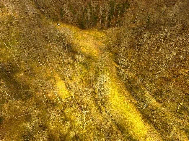 290 Hazel Huffines Ln, Whitleyville, TN 38588