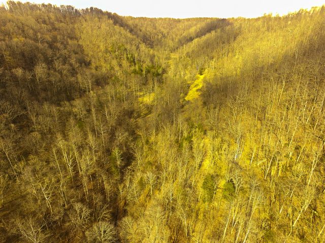 290 Hazel Huffines Ln, Whitleyville, TN 38588