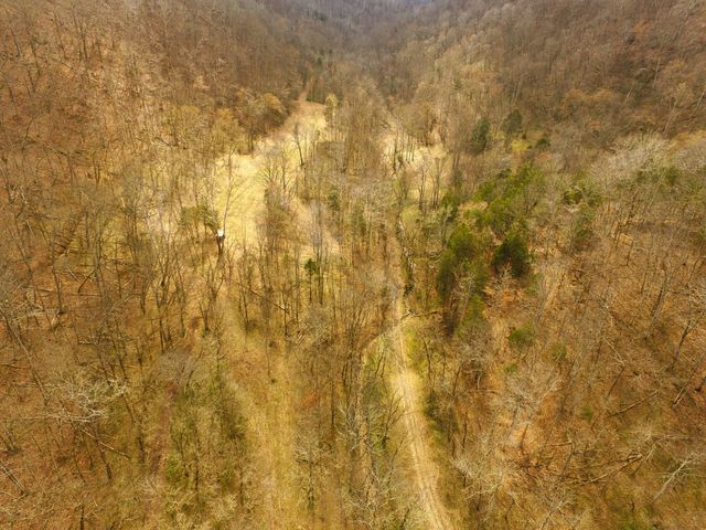 290 Hazel Huffines Ln, Whitleyville, TN 38588