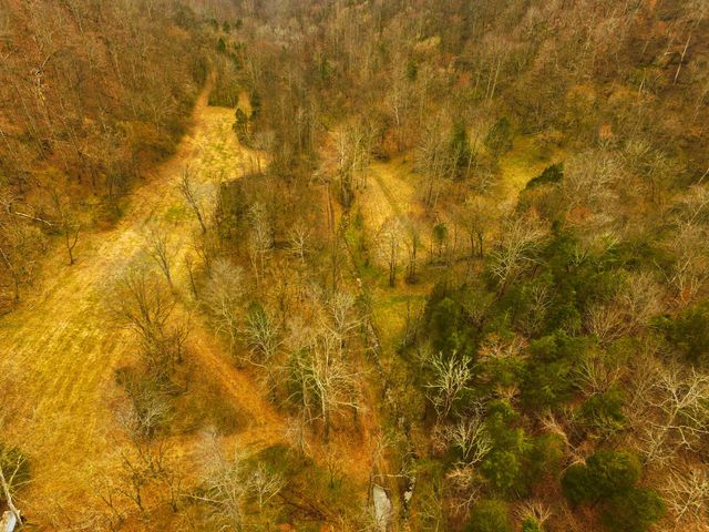 290 Hazel Huffines Ln, Whitleyville, TN 38588