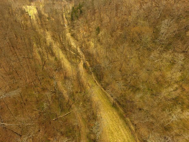 290 Hazel Huffines Ln, Whitleyville, TN 38588