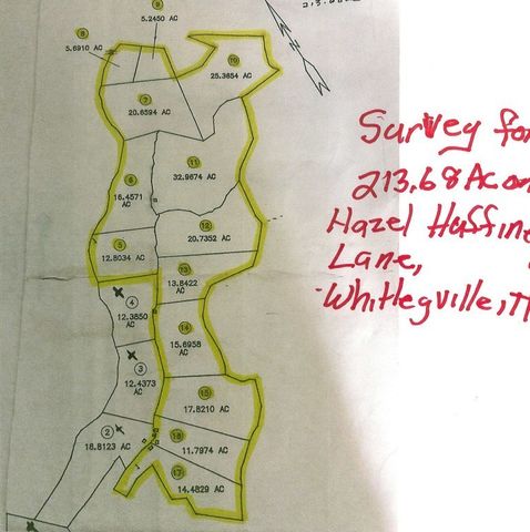 290 Hazel Huffines Ln, Whitleyville, TN 38588