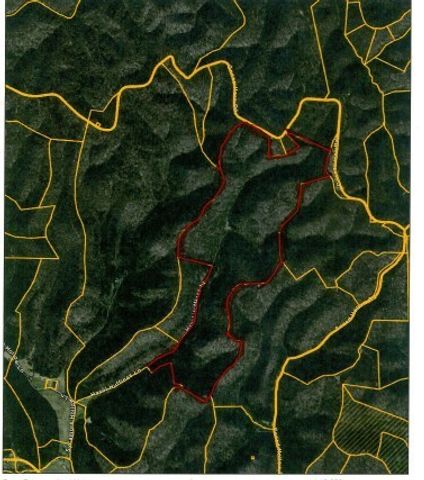 290 Hazel Huffines Ln, Whitleyville, TN 38588