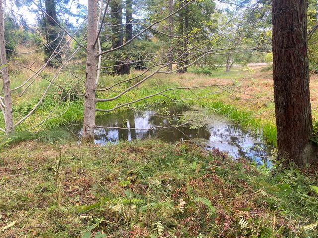 002 Pomeroy Hollow Road, Freshwater, CA 95503