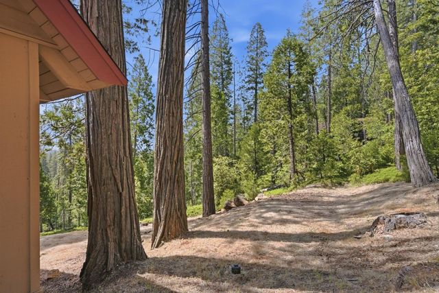 3076 Forest Ln, Arnold, CA 95223