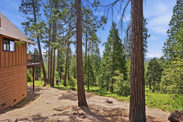 3076 Forest Ln, Arnold, CA 95223
