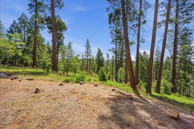 3076 Forest Ln, Arnold, CA 95223